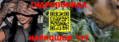 ПСИЛОЦИБИНОВЫЕ ГРИБЫ Кулебаки