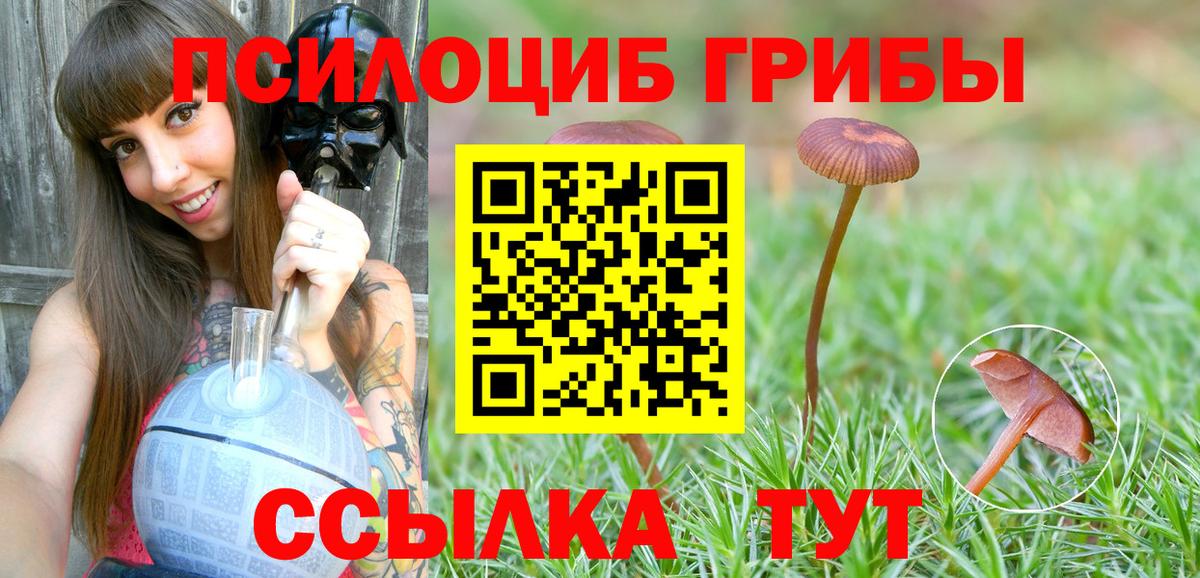 Кизилюрт  Галлюциногенные грибы прущие грибы  Вход с VPN 